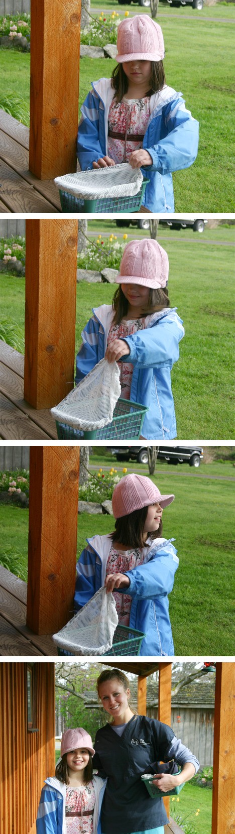 Top photo: Grace Shaw of Bailer Hill Road lifts the cover off a container holding a hummingbird that was rehabilitated at Wolf Hollow Wildlife Rehabilitation Center. Second photo: The brown blur next to Grace Shaw's left shoulder is the now-healthy hummingbird flying to freedom. Third photo: Grace Shaw catches a glimpse of the bird flying away. Bottom photo: Grace Shaw and Vanessa Greenwood