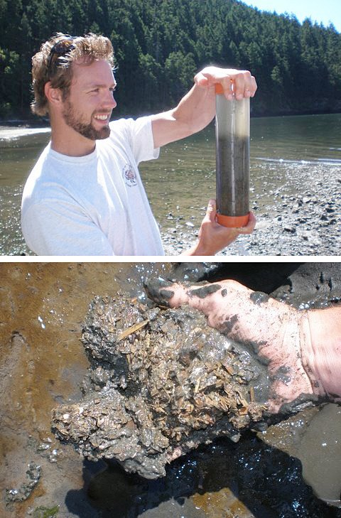 Top photo: University of Washington graduate student Joel Breems conducts sediment coring for a study on a beach at Thatcher Bay