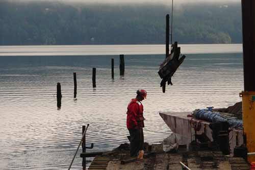 Friends of the San Juans and the Washington State Department of Natural Resources are partnering to remove toxic creosote-treated pilings and old structures from tidelands in the San Juans.