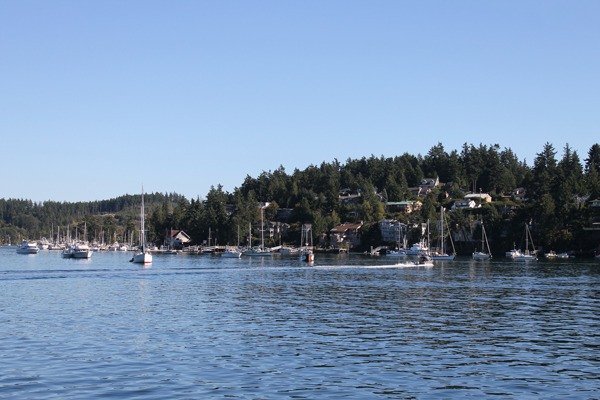 How will the tsunami affect the coastline in the San Juan Islands?