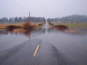 Standing water on your property: understanding the causes and possible solutions