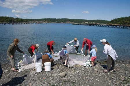 Mysteries of the nearshore are revealed as a seining net is hoisted onto the beach.