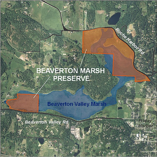 The San Juan County Land Bank is leading partners in an effort to protect and restore Beaverton Valley Marsh