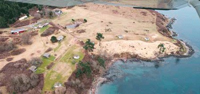 An aerial photograph show an area cleared of shoreline vegetation