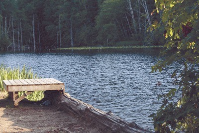 A view from the shore of Lawsons Pond