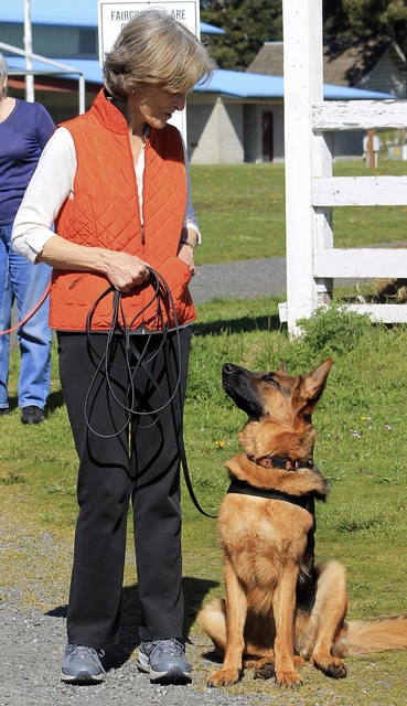 Olive and her owner Angela Degavre are part of a local experiment to determine if dogs can be taught to smell Parkinson's disease