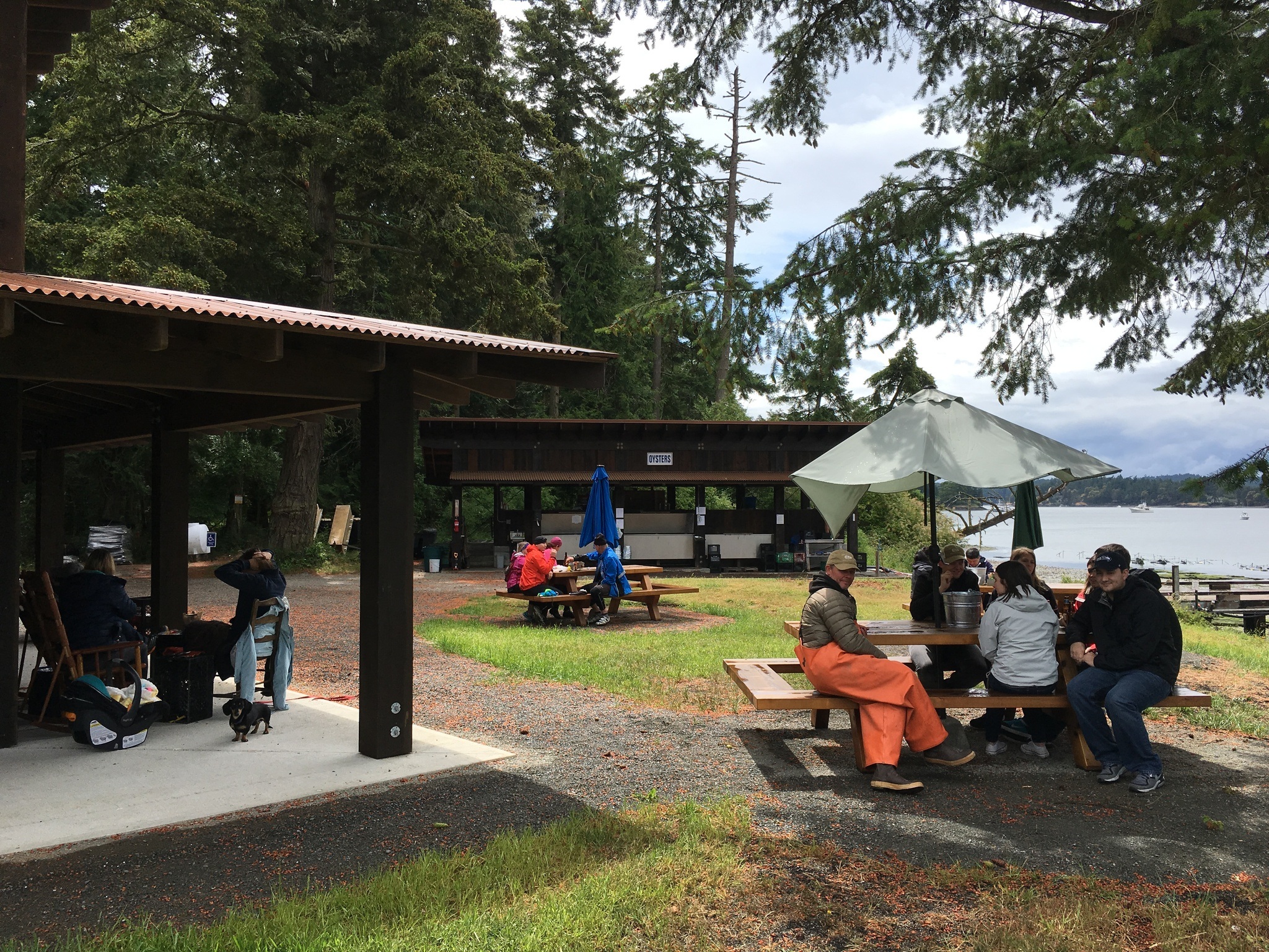 Westcott Bay Shellfish Co. is Open for Summer!