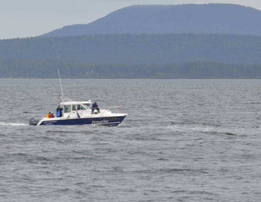 The M/V Peregrine in stormy Haro Strait.  Maya's Legacy Whale Watching