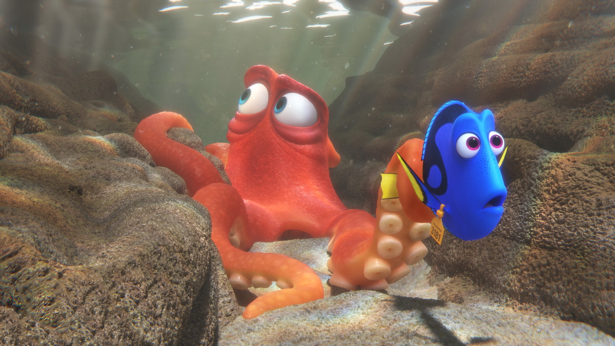 FINDING DORY – When Dory finds herself in the Marine Life Institute