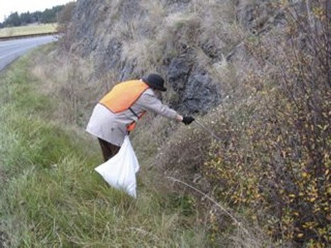 One of the Trash Masters picks up trash along Roche Harbor Road.