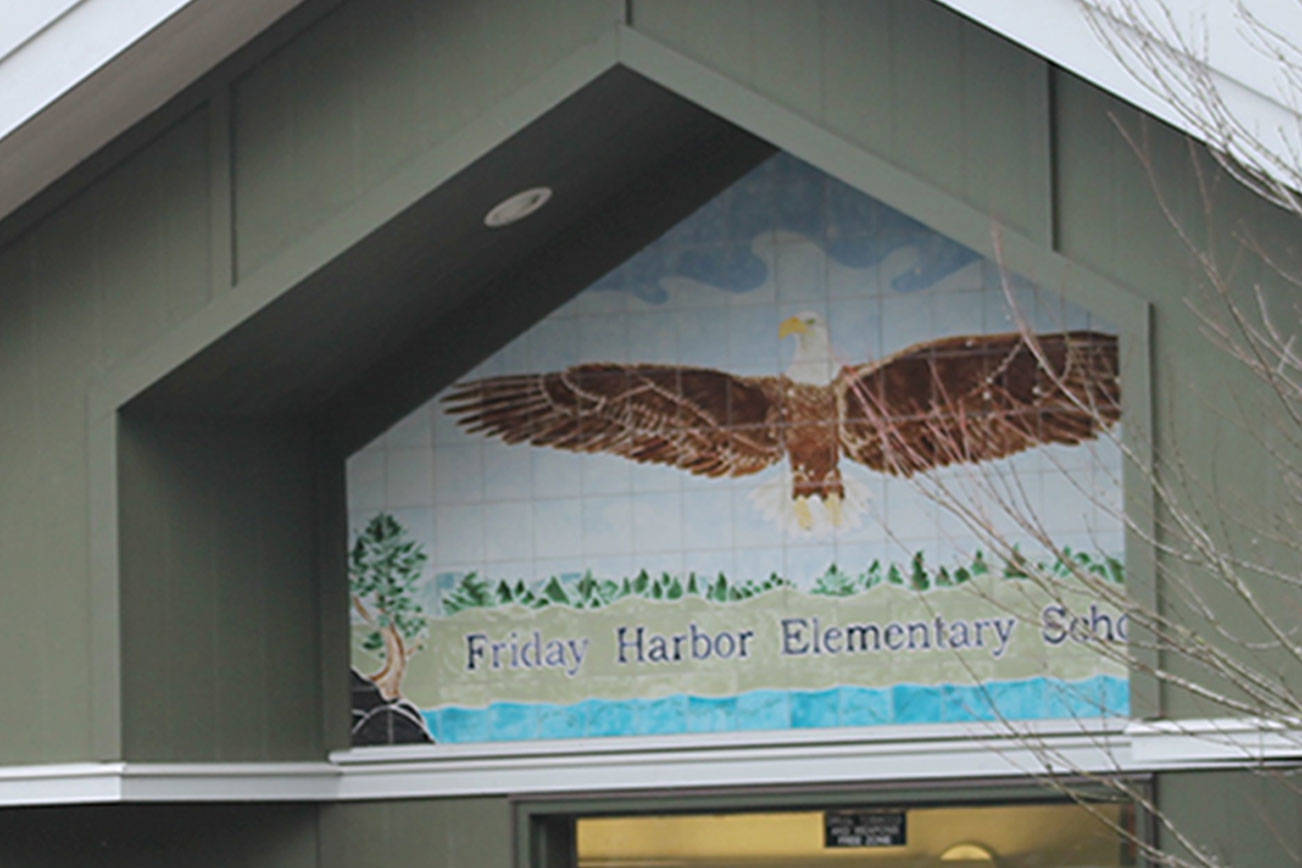 Friday Harbor Elementary book fair