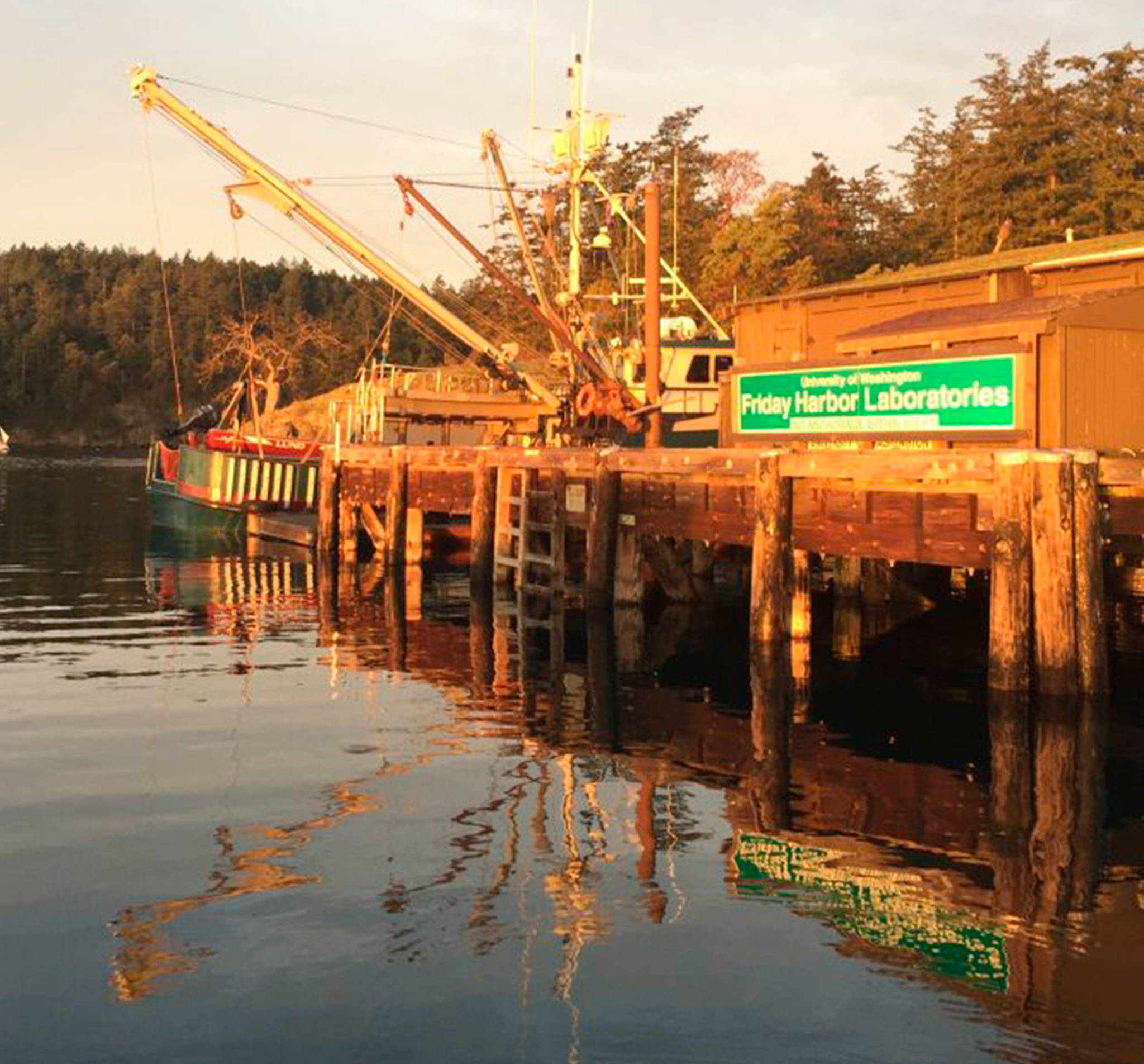 Friday Harbor Labs welcomes community to open house