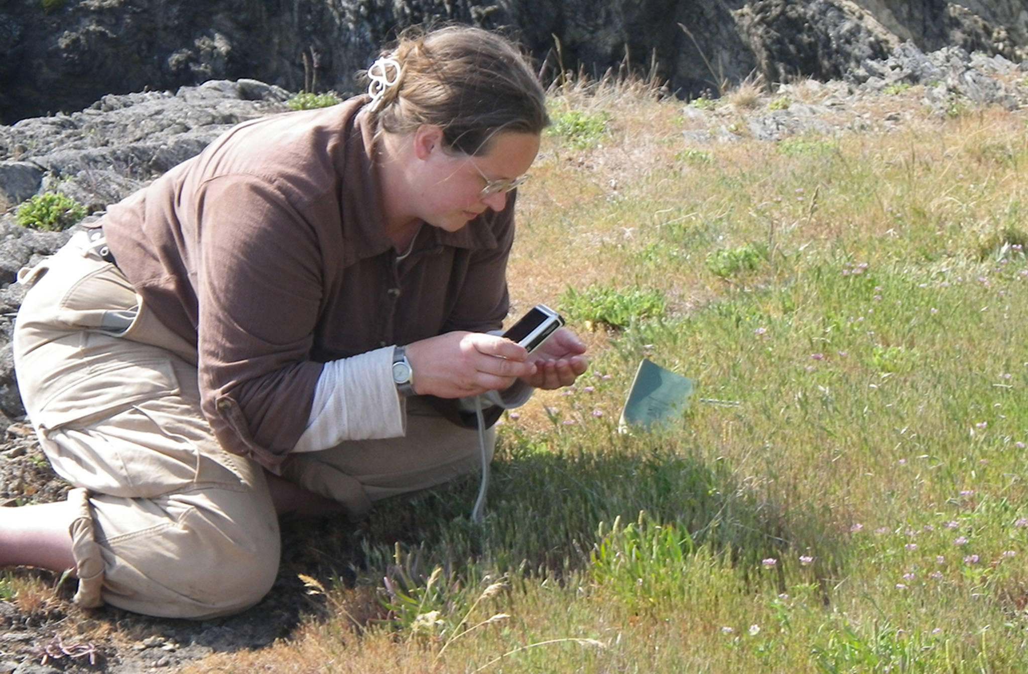 Iceberg Point dig could locate artifacts, but harm native wildflowers