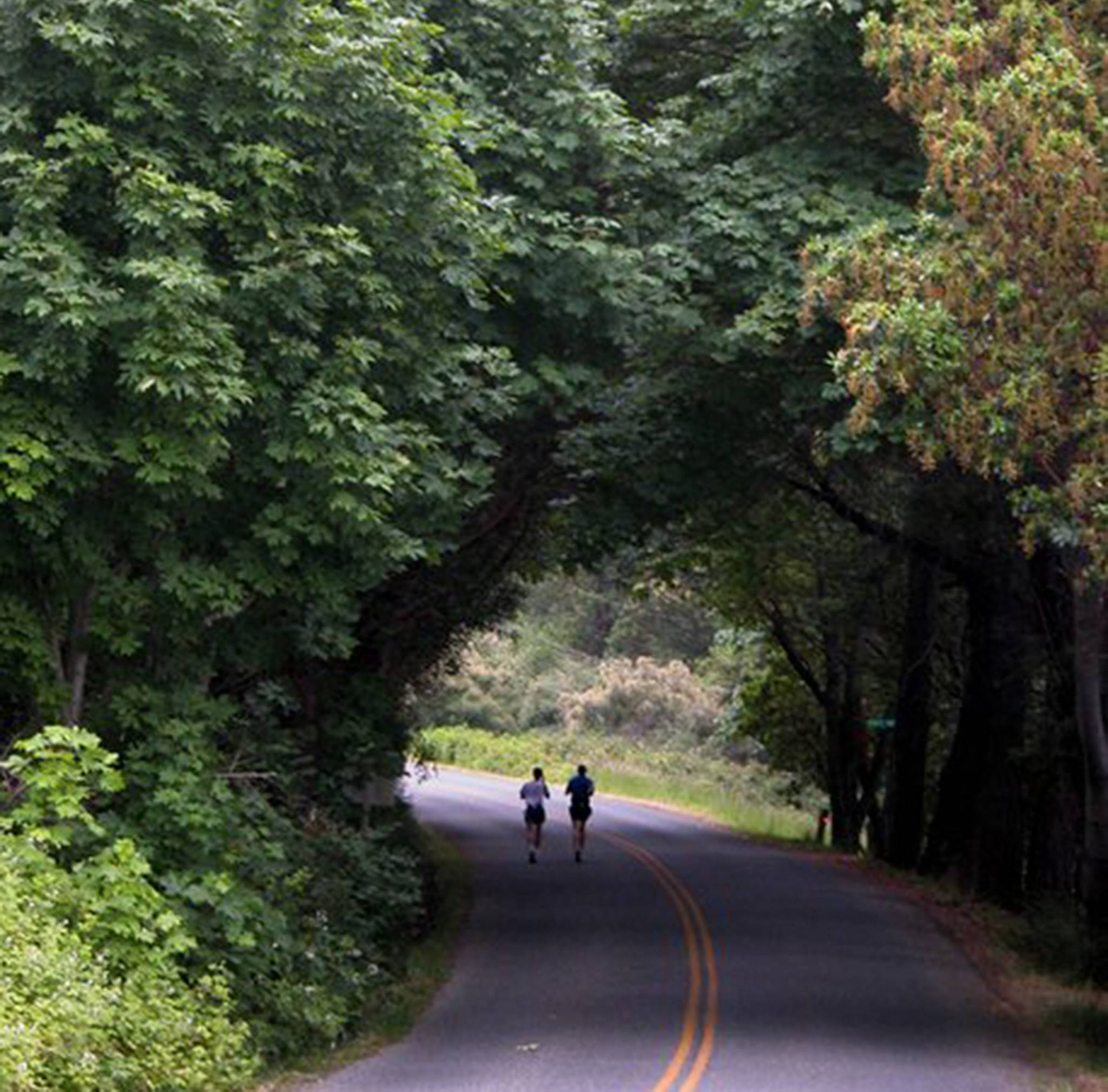 Course maps and safety advice for San Juan Island triathlon and marathon