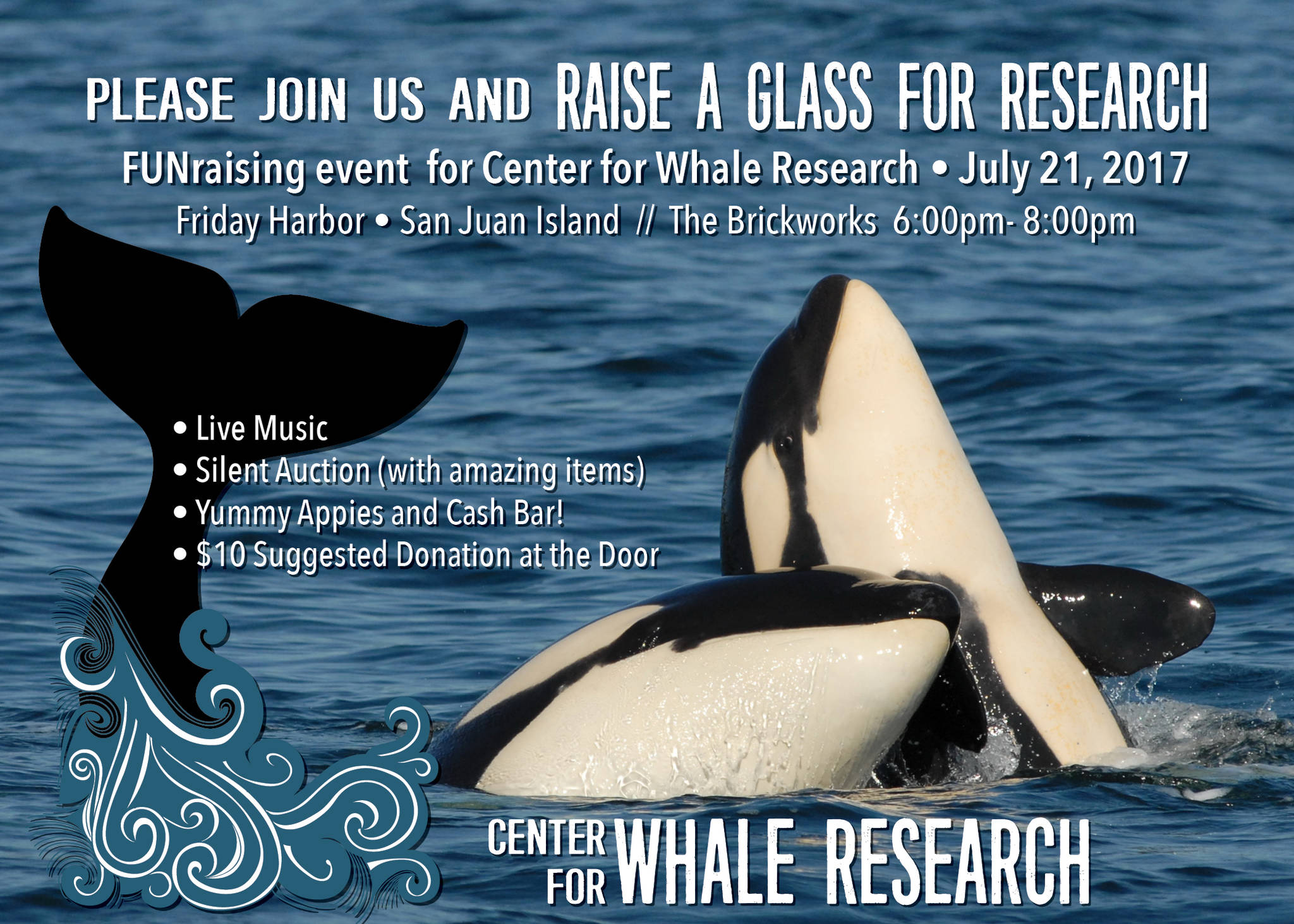 Contributed image/Center for Whale Research