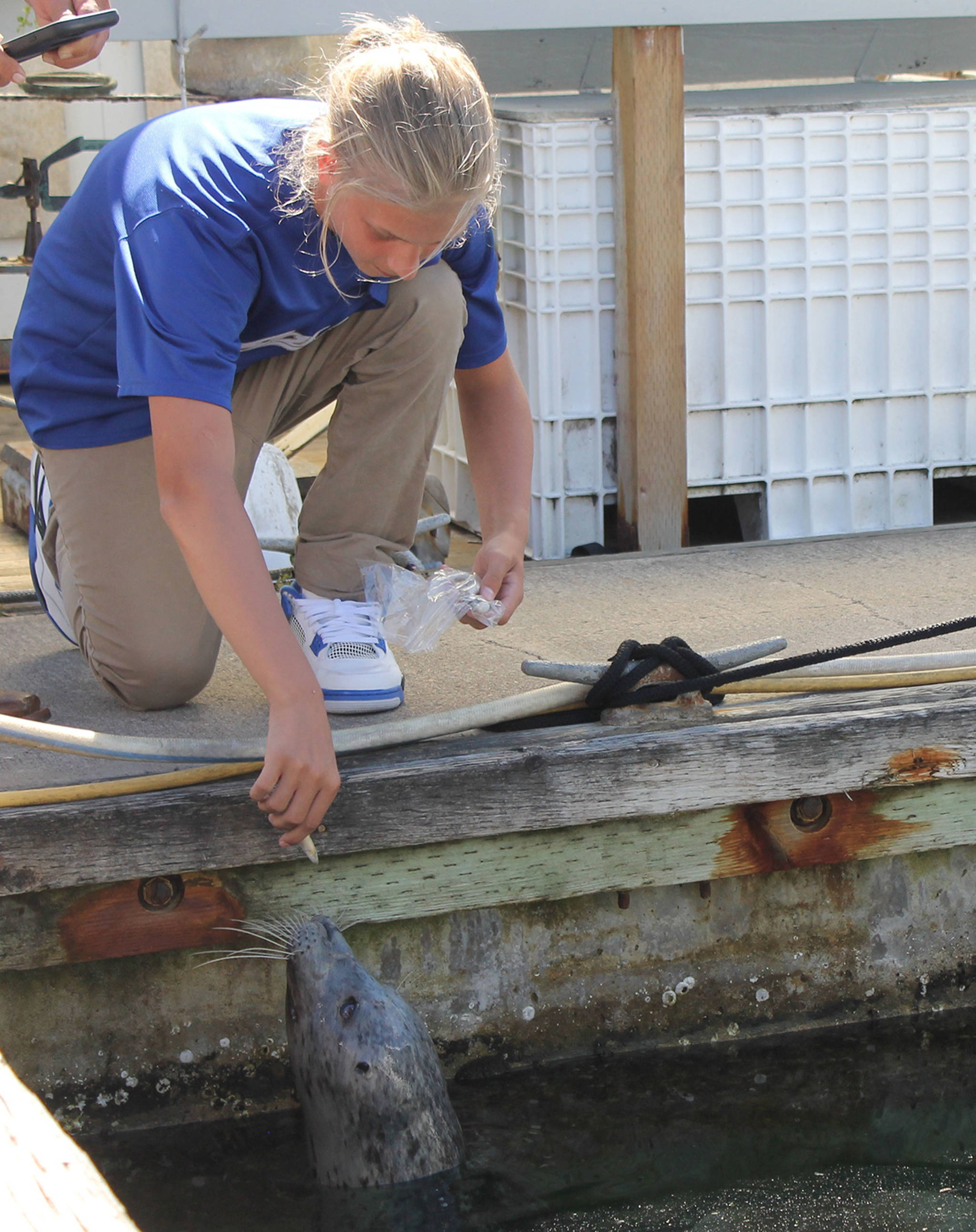 Visits with Popeye the harbor seal