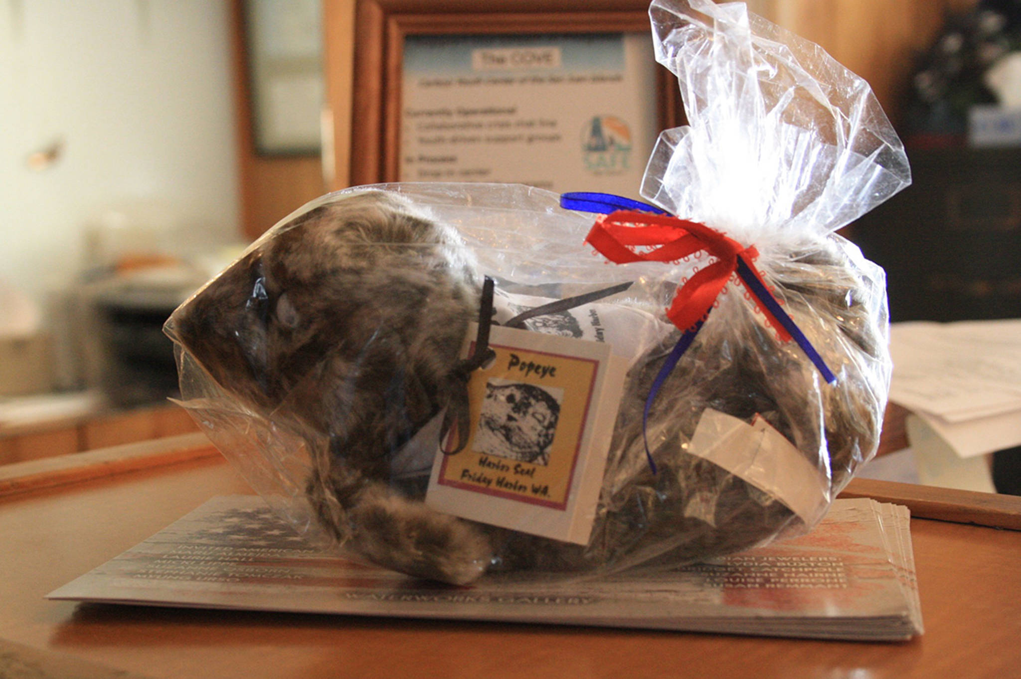 Purchase a Popeye the seal toy to benefit SAFE San Juans