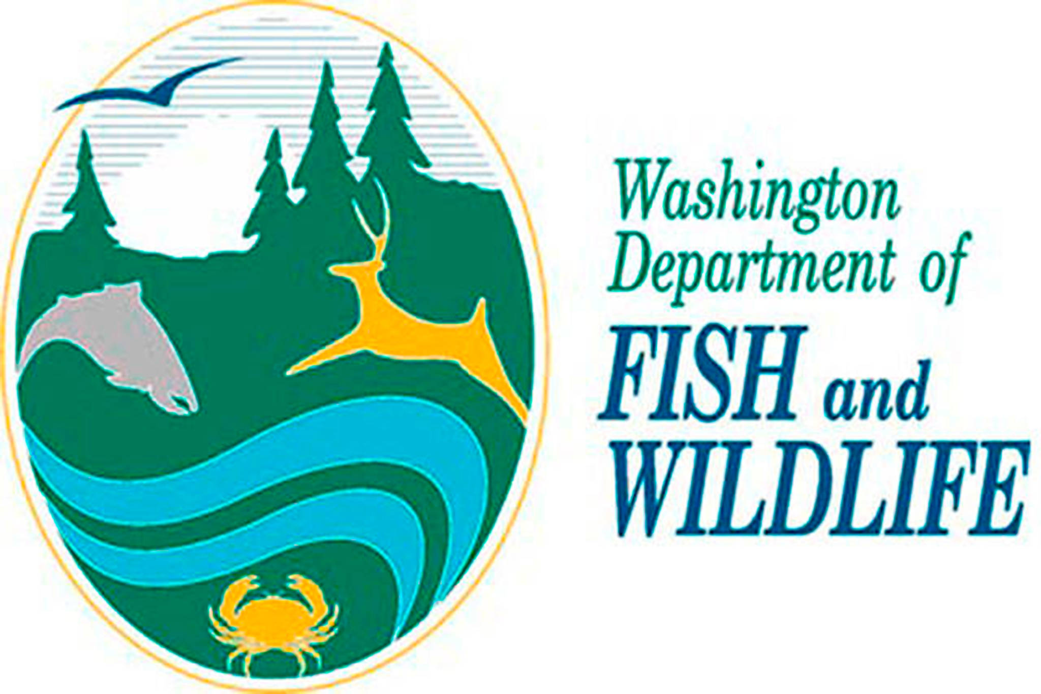 WDFW Commission advises state fishery managers on chinook plan