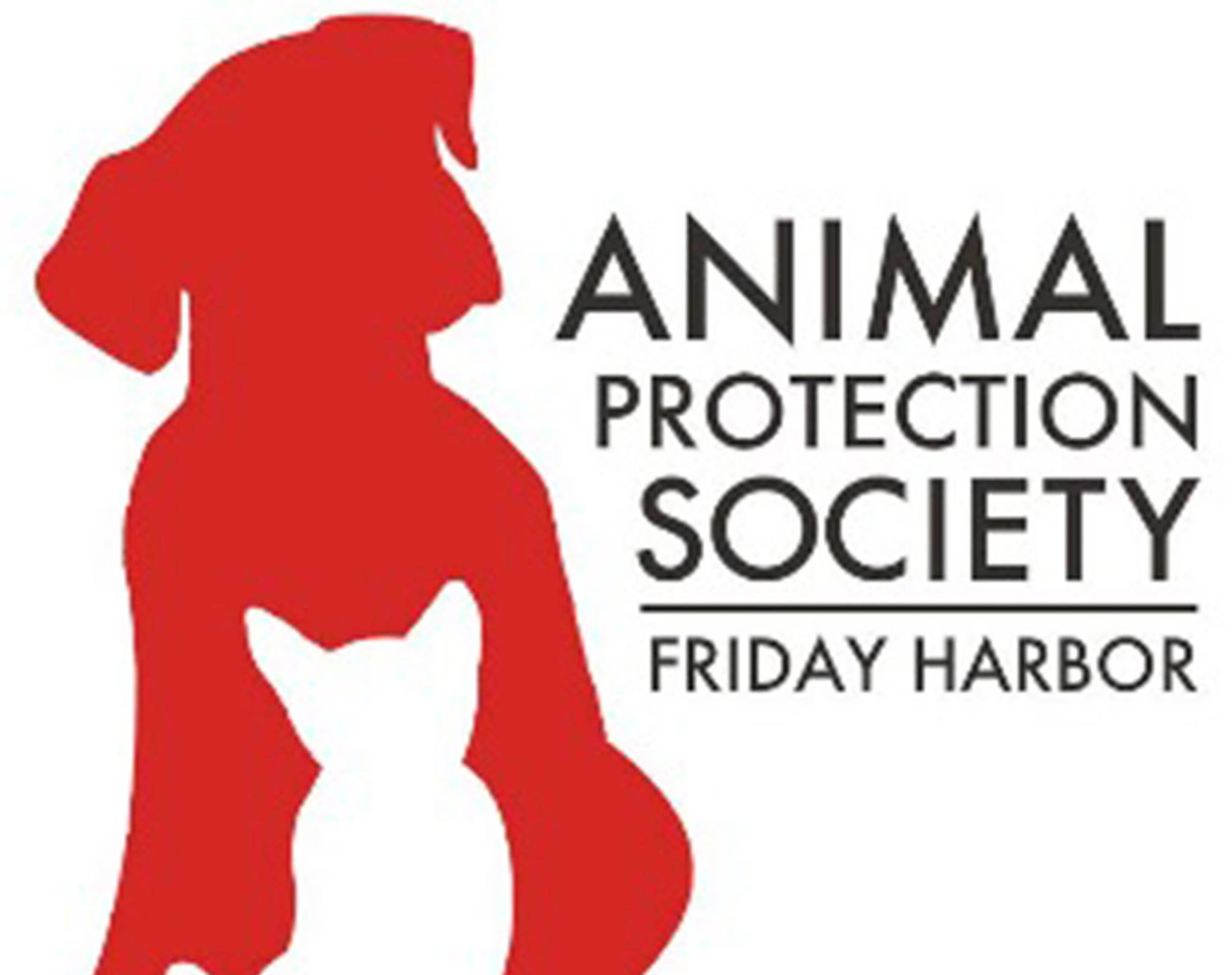 Temporary changes at the Animal Protection Society shelter