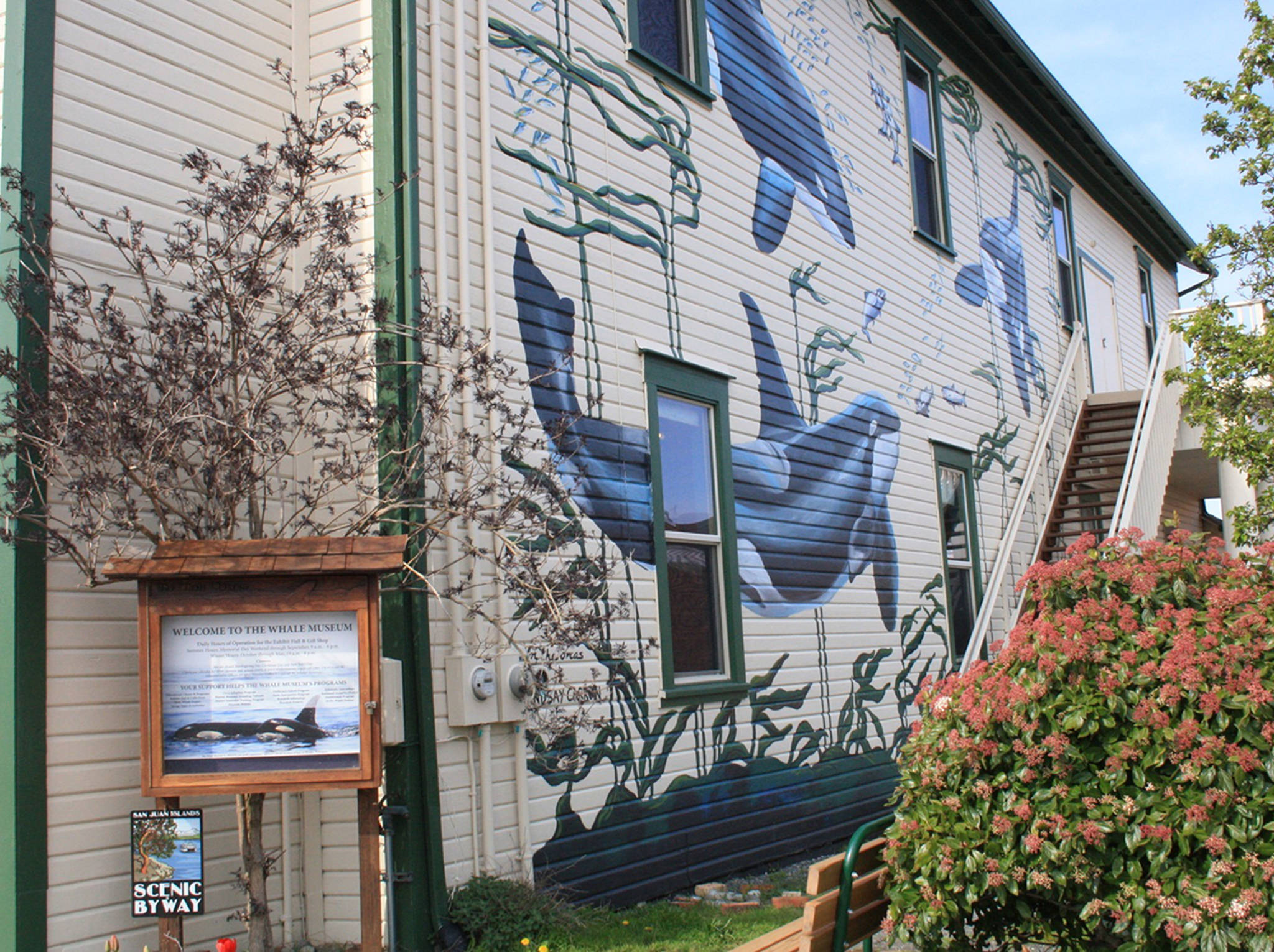 Sleepover at The Whale Museum