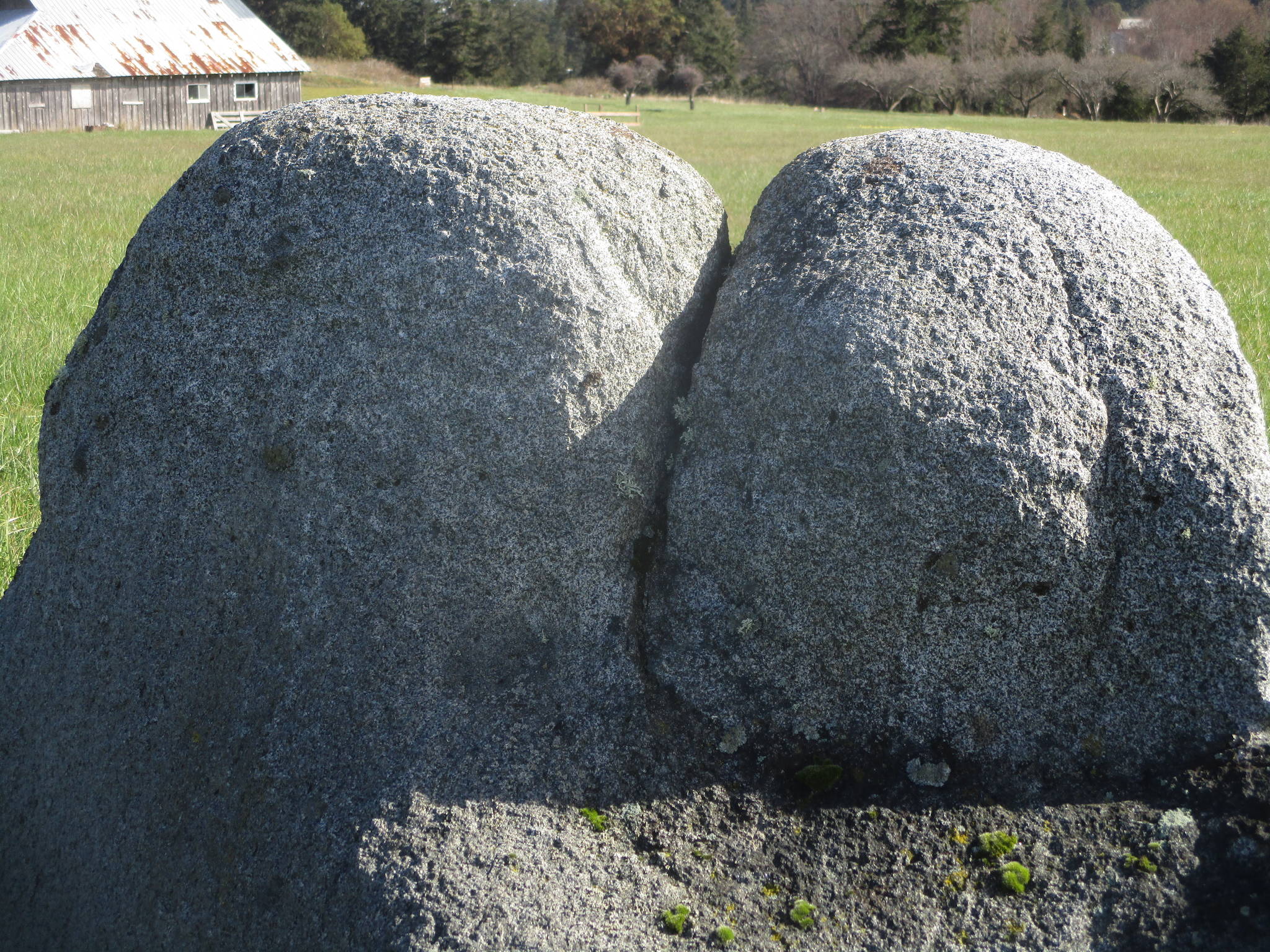 Chances are this rock near the airport has been the butt of many jokes. (David Hamsphire photo)