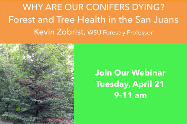 Tree health Zoom webinar, April 21