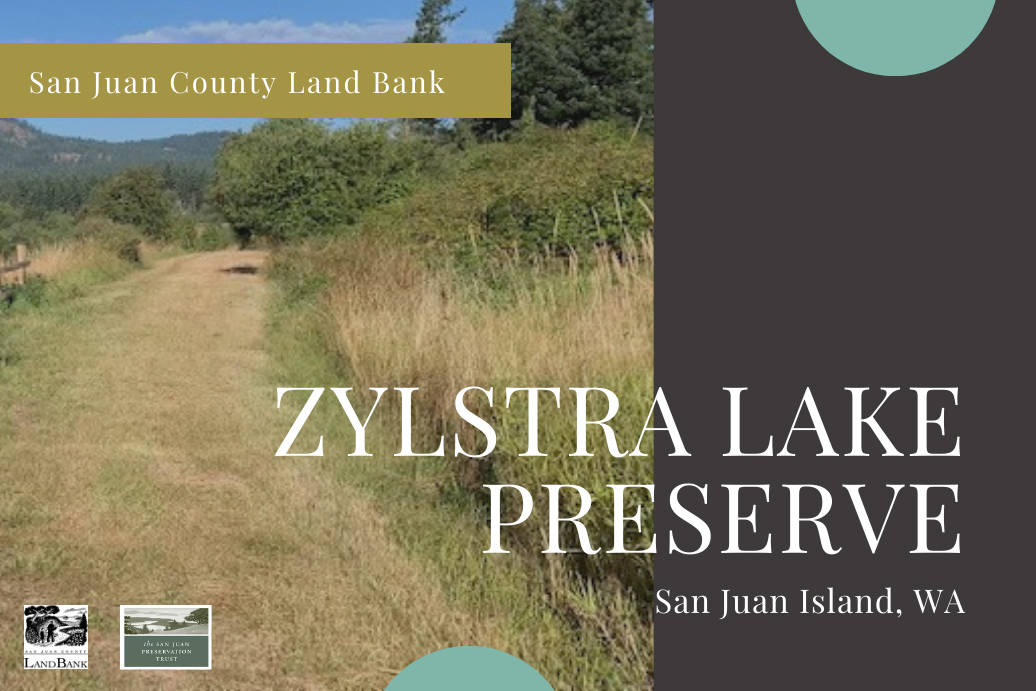 Zylstra Lake Preserve opens for public access