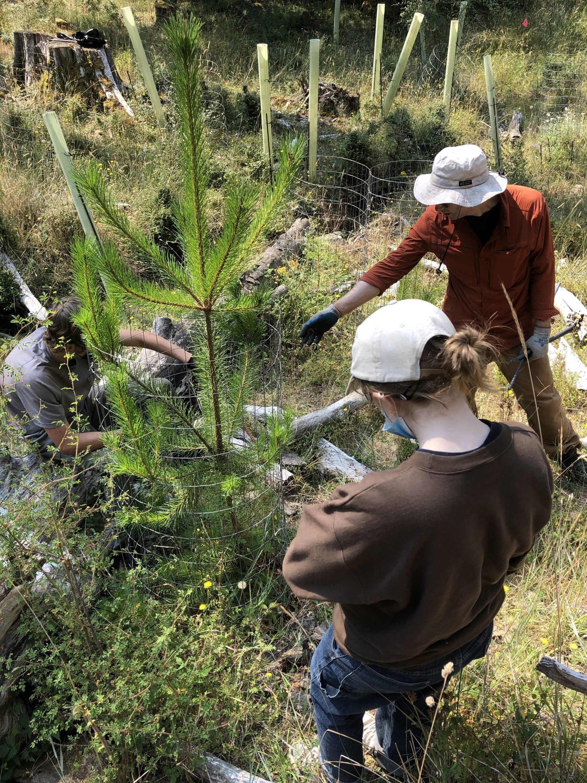 Youth Conservation Corps/contributed photo