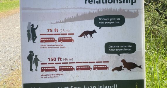 Staff photo / Isabel Ashley
Example of signage educating the public on appropriate distances between humans and wildlife, located on San Juan Island National Historical Park.