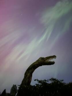 Contributed photo
"Long Neck" by Joe Treat, under the Aurora Borialis