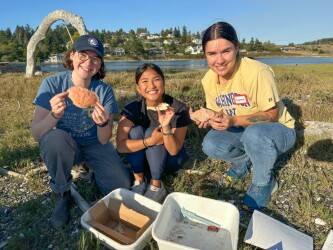 Contributed photo
Volunteers with Friends of the San Juans learning how to identify and report the highly invasive European green crab on beaches in the San Juan Islands.