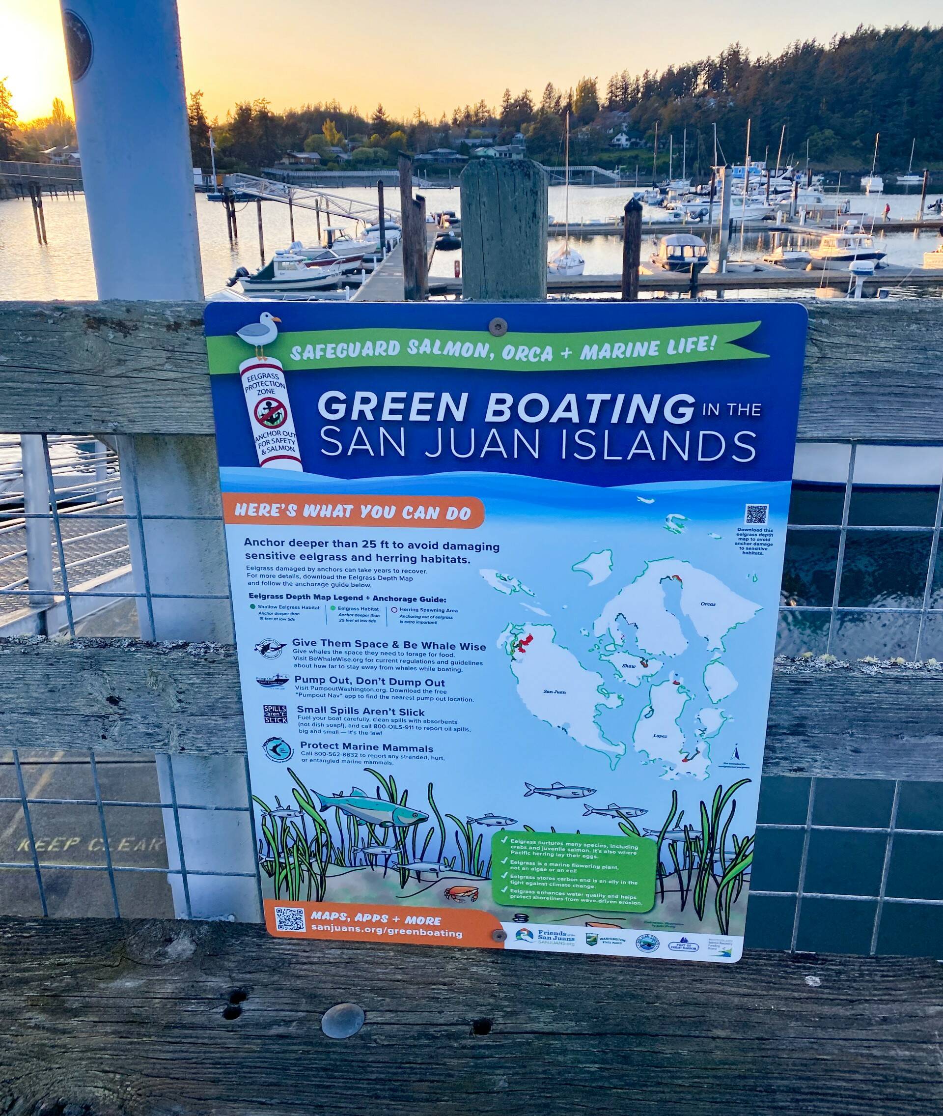 Contributed photo
To make it easier for boaters to be “Green,” Friends has created new educational signs with maps and data on eelgrass and herring habitats, whales, and handy resources for boaters. These signs are being installed at marine parks, docks, and marinas across the islands.