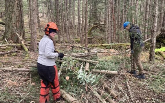 Conservation crew members create piles of douglas fir as part of the SJC Preservation Land Bank’s forest management thinning and biochar projects.
Submitted photo.