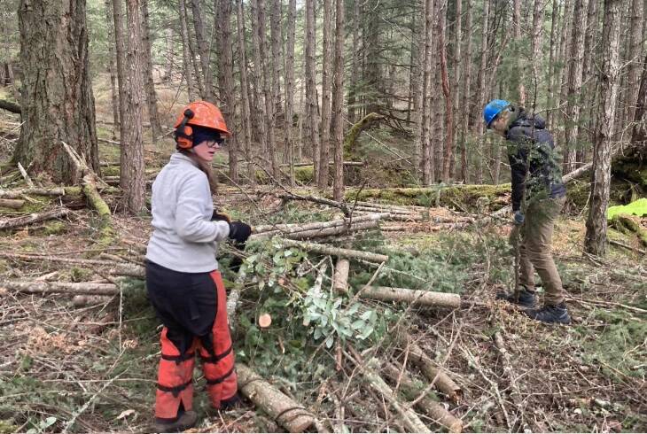 Conservation crew members create piles of douglas fir as part of the SJC Preservation Land Bank’s forest management thinning and biochar projects.
Submitted photo.