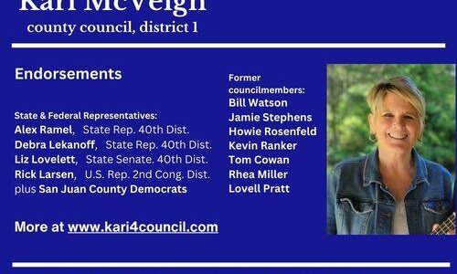 Kari McVeigh - Candidate for County Council District 1