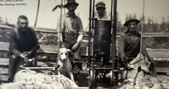 Photo of Museum Exhibit
Jim Crook stands behind his shearing machine.