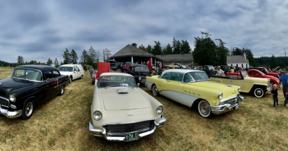 Contributed photo by Barbara Marrett
Dave Moorhouse’s yellow 1956 Buick Super 2-door (pictured third from the left) won “Best of Show” — Barbara Marrett photo