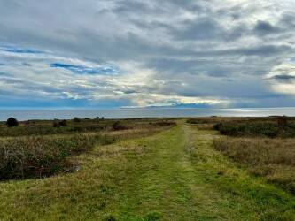 Contributed photo by Mike Vouri
The American Camp prairie and trail today from just below the redoubt.