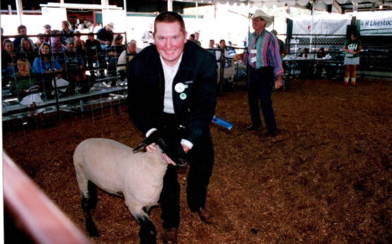 Contributed photo
Clinton Gauthier with his sheep