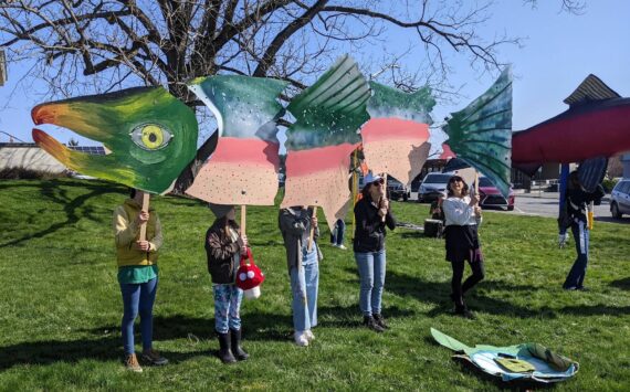 Contributed photo by Alchemy Arts Center
Students display salmon art at the San Juan County Courthouse.